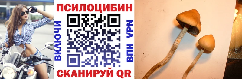 Псилоцибиновые грибы Psilocybe Тетюши